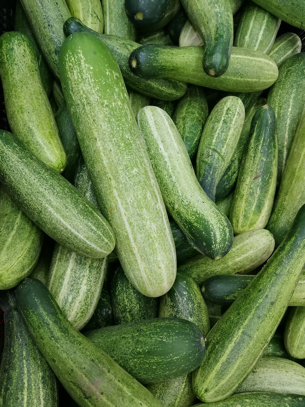 easy low carb cucumber salad