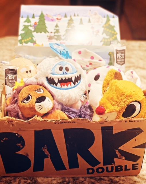 Barkbox Review: Is Barkbox Worth It? All You Need to Know Before You Buy