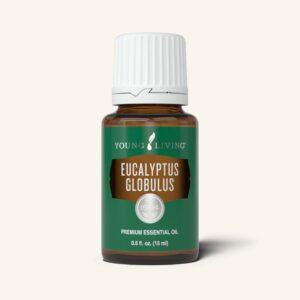 young living essential oils eucalyptus